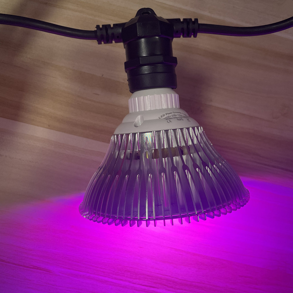 10M Cable LED String Commercia - огляд і ціна String Light Outdoor
